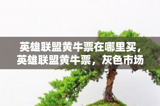 英雄联盟黄牛票在哪里买,英雄联盟黄牛票,灰色市场的暗流涌动 英雄联盟黄牛票在哪里买,英雄联盟黄牛票,灰色市场的暗流涌动