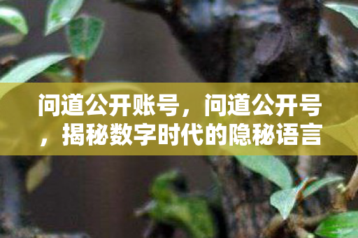 问道公开账号，问道公开号，揭秘数字时代的隐秘语言