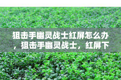 狙击手幽灵战士红屏怎么办,狙击手幽灵战士,红屏下的致命一击 狙击手幽灵战士红屏怎么办,狙击手幽灵战士,红屏下的致命一击
