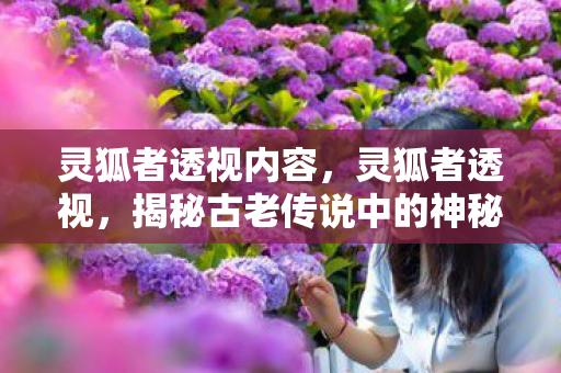 灵狐者透视内容，灵狐者透视，揭秘古老传说中的神秘生物