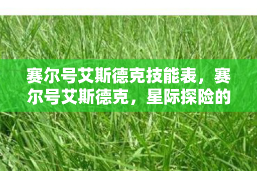 赛尔号艾斯德克技能表，赛尔号艾斯德克，星际探险的传奇之旅
