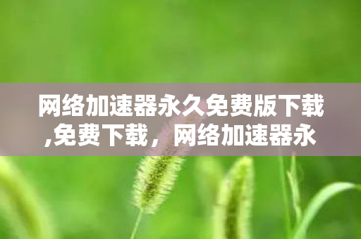 网络加速器永久免费版下载,免费下载,网络加速器永久免费版下载,真相与风险揭示 网络加速器永久免费版下载,免费下载,网络加速器永久免费版下载,真相与风险揭示
