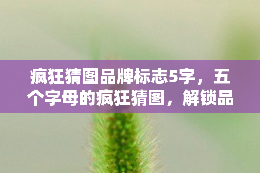 疯狂猜图品牌标志5字，五个字母的疯狂猜图，解锁品牌背后的秘密