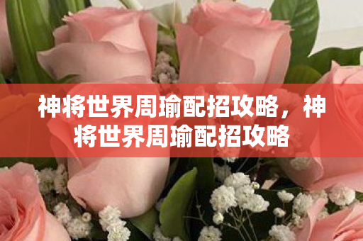 神将世界周瑜配招攻略，神将世界周瑜配招攻略