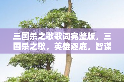 三国杀之歌歌词完整版,三国杀之歌,英雄逐鹿,智谋天下 三国杀之歌歌词完整版,三国杀之歌,英雄逐鹿,智谋天下