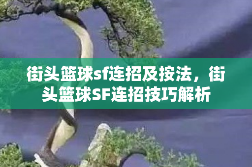 街头篮球sf连招及按法,街头篮球SF连招技巧解析 街头篮球sf连招及按法,街头篮球SF连招技巧解析