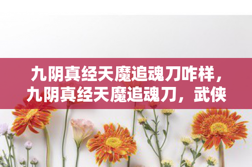 九阴真经天魔追魂刀咋样，九阴真经天魔追魂刀，武侠世界中的绝世刀法