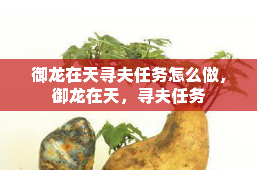 御龙在天寻夫任务怎么做,御龙在天,寻夫任务 御龙在天寻夫任务怎么做,御龙在天,寻夫任务