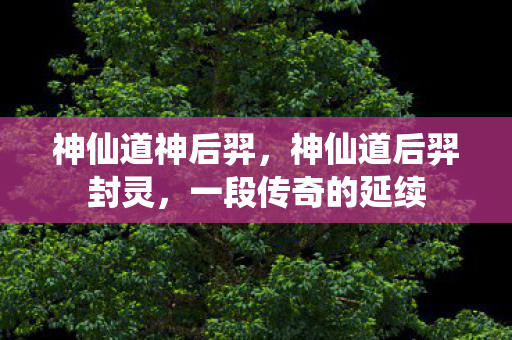 神仙道神后羿，神仙道后羿封灵，一段传奇的延续