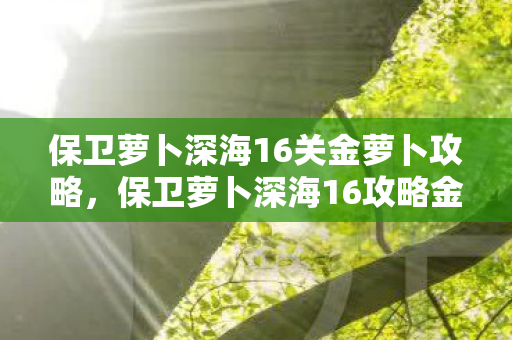 保卫萝卜深海16关金萝卜攻略，保卫萝卜深海16攻略金萝卜布阵图