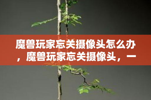 魔兽玩家忘关摄像头怎么办,魔兽玩家忘关摄像头,一场意外的直播秀 魔兽玩家忘关摄像头怎么办,魔兽玩家忘关摄像头,一场意外的直播秀