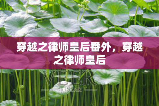穿越之律师皇后番外,穿越之律师皇后 穿越之律师皇后番外,穿越之律师皇后