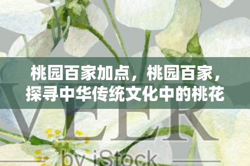 桃园百家加点,桃园百家,探寻中华传统文化中的桃花源 桃园百家加点,桃园百家,探寻中华传统文化中的桃花源