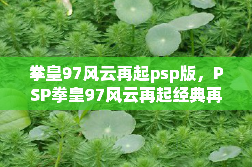 拳皇97风云再起psp版,PSP拳皇97风云再起经典再现,重温街机格斗传奇 拳皇97风云再起psp版,PSP拳皇97风云再起经典再现,重温街机格斗传奇