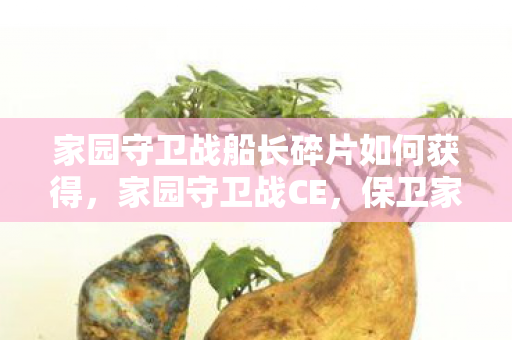 家园守卫战船长碎片如何获得,家园守卫战CE,保卫家园的荣耀与责任 家园守卫战船长碎片如何获得,家园守卫战CE,保卫家园的荣耀与责任