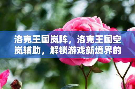 洛克王国岚阵，洛克王国空岚辅助，解锁游戏新境界的必备神器