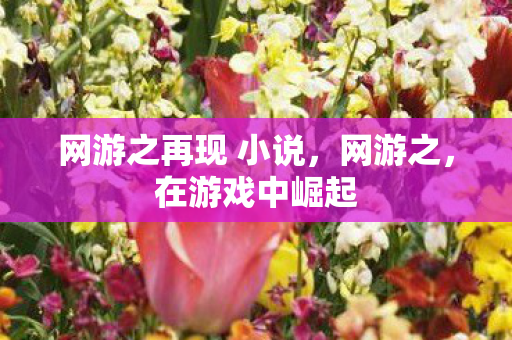 网游之再现 小说，网游之，在游戏中崛起