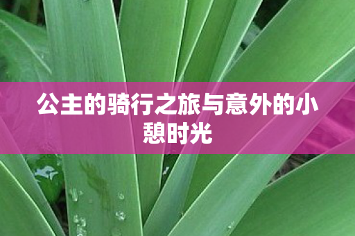 公主的骑行之旅与意外的小憩时光 公主的骑行之旅与意外的小憩时光