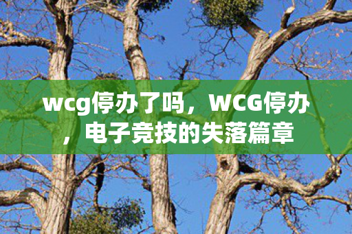 wcg停办了吗,WCG停办,电子竞技的失落篇章 wcg停办了吗,WCG停办,电子竞技的失落篇章