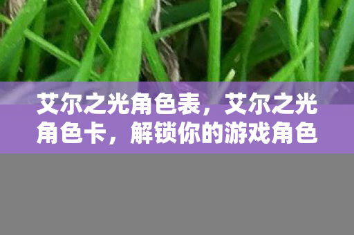艾尔之光角色表,艾尔之光角色卡,解锁你的游戏角色之旅 艾尔之光角色表,艾尔之光角色卡,解锁你的游戏角色之旅