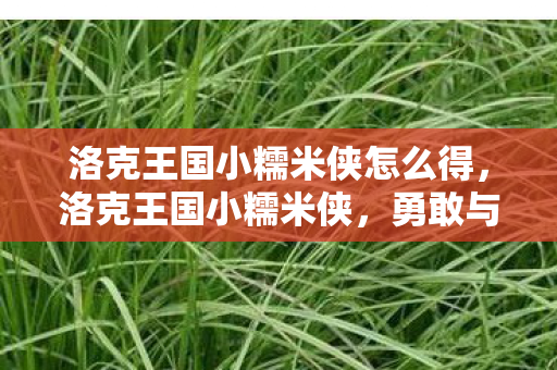 洛克王国小糯米侠怎么得,洛克王国小糯米侠,勇敢与智慧的化身 洛克王国小糯米侠怎么得,洛克王国小糯米侠,勇敢与智慧的化身