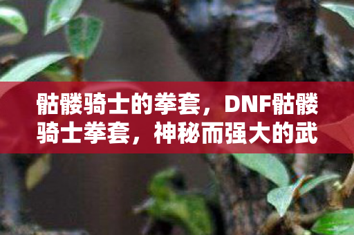 骷髅骑士的拳套,DNF骷髅骑士拳套,神秘而强大的武器 骷髅骑士的拳套,DNF骷髅骑士拳套,神秘而强大的武器