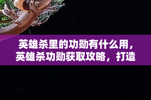 英雄杀里的功勋有什么用,英雄杀功勋获取攻略,打造荣耀之路 英雄杀里的功勋有什么用,英雄杀功勋获取攻略,打造荣耀之路