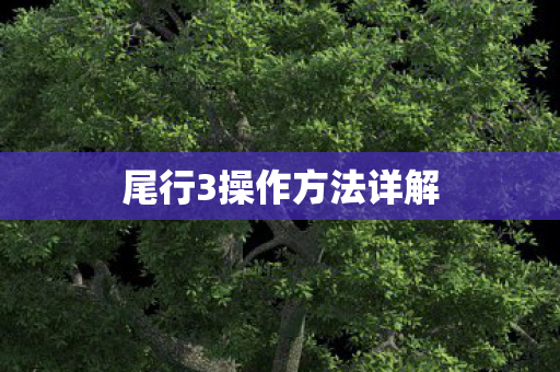 尾行3操作方法详解 尾行3操作方法详解