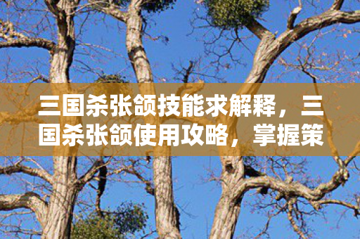 三国杀张颌技能求解释,三国杀张颌使用攻略,掌握策略,提升胜率 三国杀张颌技能求解释,三国杀张颌使用攻略,掌握策略,提升胜率