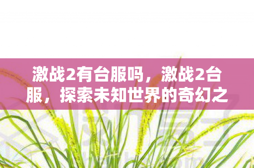 激战2有台服吗,激战2台服,探索未知世界的奇幻之旅 激战2有台服吗,激战2台服,探索未知世界的奇幻之旅