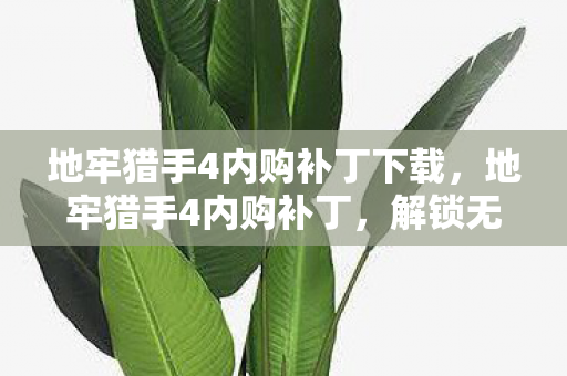 地牢猎手4内购补丁下载，地牢猎手4内购补丁，解锁无限可能的秘密武器
