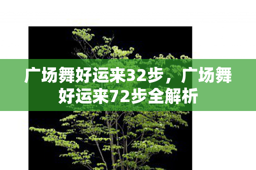 广场舞好运来32步，广场舞好运来72步全解析