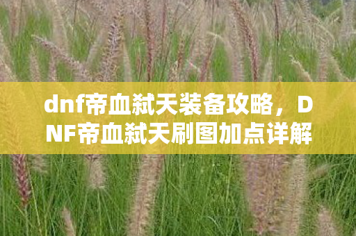 dnf帝血弑天装备攻略,DNF帝血弑天刷图加点详解 dnf帝血弑天装备攻略,DNF帝血弑天刷图加点详解
