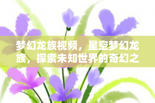 梦幻龙族视频，星空梦幻龙族，探索未知世界的奇幻之旅
