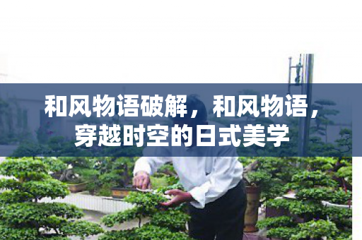 和风物语破解，和风物语，穿越时空的日式美学