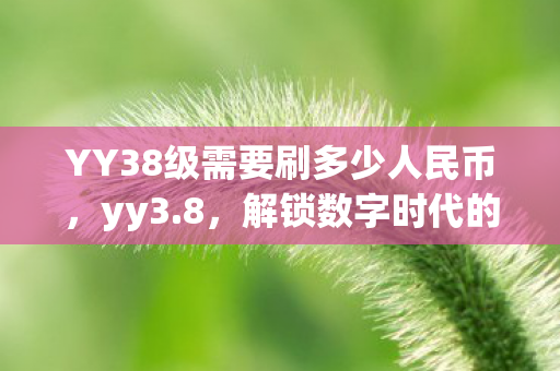 YY38级需要刷多少人民币,yy3.8,解锁数字时代的娱乐新纪元 YY38级需要刷多少人民币,yy3.8,解锁数字时代的娱乐新纪元