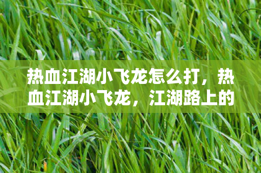 热血江湖小飞龙怎么打,热血江湖小飞龙,江湖路上的传奇之旅 热血江湖小飞龙怎么打,热血江湖小飞龙,江湖路上的传奇之旅