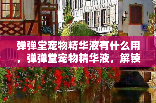 弹弹堂宠物精华液有什么用，弹弹堂宠物精华液，解锁宠物养成新境界