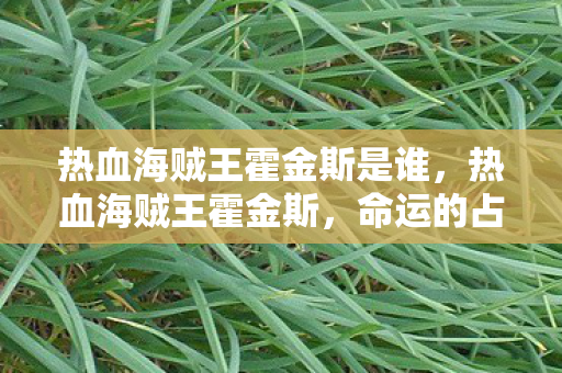 热血海贼王霍金斯是谁,热血海贼王霍金斯,命运的占卜与不屈的航海 热血海贼王霍金斯是谁,热血海贼王霍金斯,命运的占卜与不屈的航海
