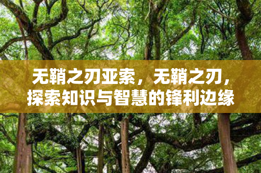 无鞘之刃亚索,无鞘之刃,探索知识与智慧的锋利边缘 无鞘之刃亚索,无鞘之刃,探索知识与智慧的锋利边缘