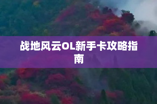 战地风云OL新手卡攻略指南 战地风云OL新手卡攻略指南