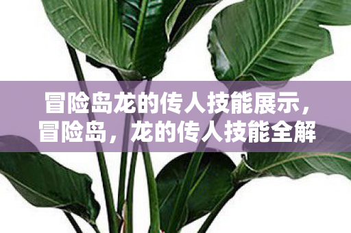 冒险岛龙的传人技能展示,冒险岛,龙的传人技能全解析 冒险岛龙的传人技能展示,冒险岛,龙的传人技能全解析