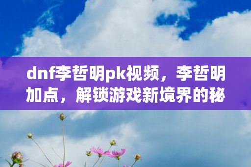dnf李哲明pk视频，李哲明加点，解锁游戏新境界的秘诀
