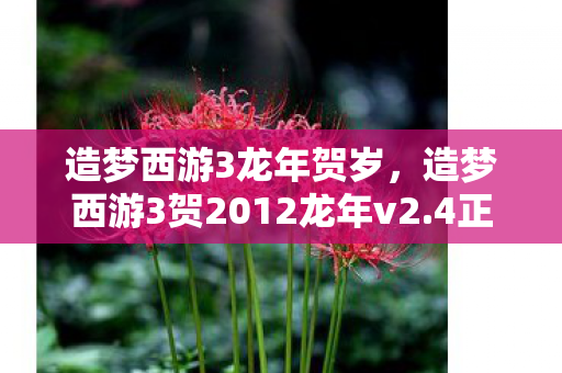 造梦西游3龙年贺岁,造梦西游3贺2012龙年v2.4正式版,重温经典,再续传奇 造梦西游3龙年贺岁,造梦西游3贺2012龙年v2.4正式版,重温经典,再续传奇