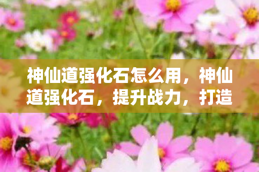 神仙道强化石怎么用,神仙道强化石,提升战力,打造无敌阵容 神仙道强化石怎么用,神仙道强化石,提升战力,打造无敌阵容