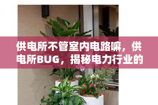 供电所不管室内电路嘛,供电所BUG,揭秘电力行业的隐形挑战与解决方案 供电所不管室内电路嘛,供电所BUG,揭秘电力行业的隐形挑战与解决方案