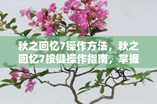 秋之回忆7操作方法，秋之回忆7按键操作指南，掌握游戏精髓的秘诀