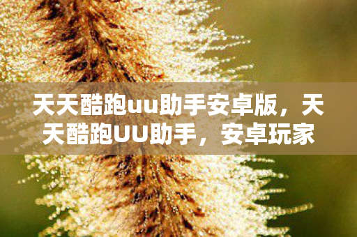 天天酷跑uu助手安卓版,天天酷跑UU助手,安卓玩家的极速选择 天天酷跑uu助手安卓版,天天酷跑UU助手,安卓玩家的极速选择