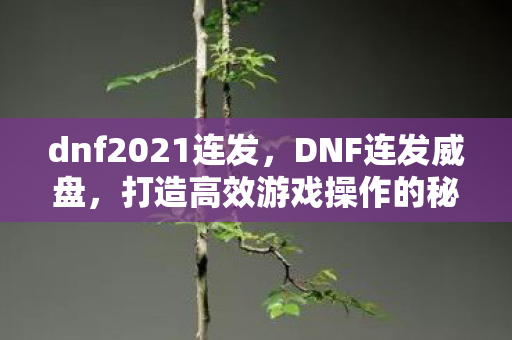 dnf2021连发,DNF连发威盘,打造高效游戏操作的秘密武器 dnf2021连发,DNF连发威盘,打造高效游戏操作的秘密武器