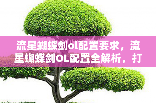 流星蝴蝶剑ol配置要求,流星蝴蝶剑OL配置全解析,打造流畅游戏体验 流星蝴蝶剑ol配置要求,流星蝴蝶剑OL配置全解析,打造流畅游戏体验